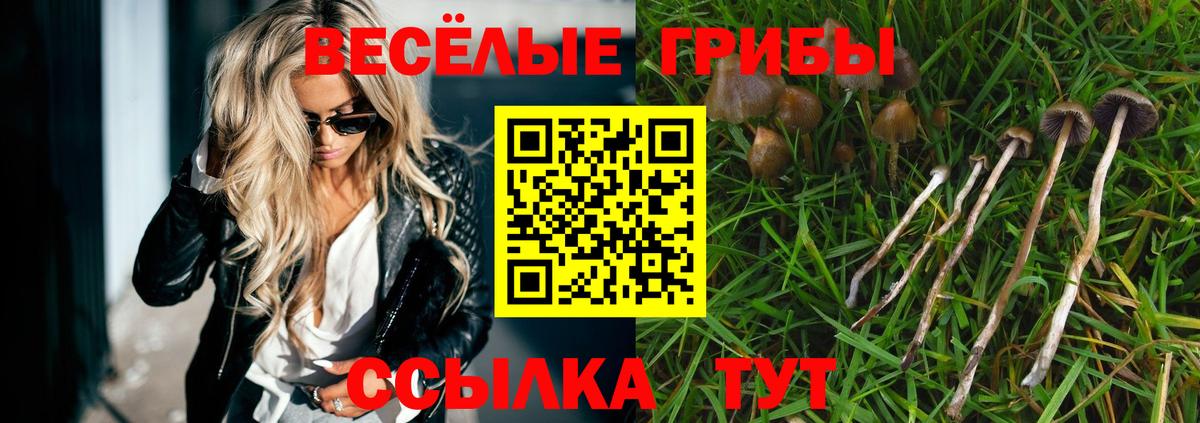Галлюциногенные грибы GOLDEN TEACHER Жигулёвск